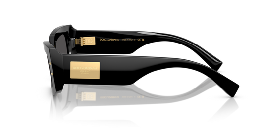 Dolce & Gabbana DG 4479 Occhiale da sole