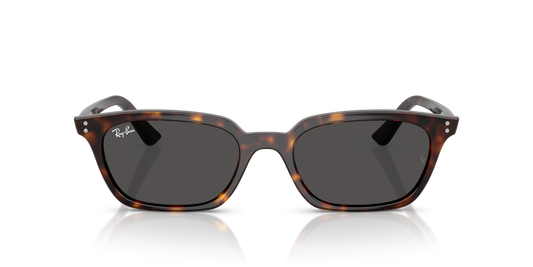 Ray-Ban RB 4456 Zaya 135987