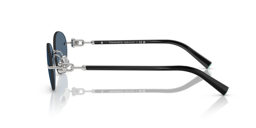 Tiffany & Co. TF 3104D Sunglasses