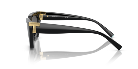 Tiffany & Co. TF 4205U Occhiale da sole