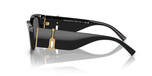 Tiffany & Co. TF 4208U Occhiale da sole