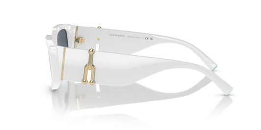 Tiffany & Co. TF 4208U Occhiale da sole