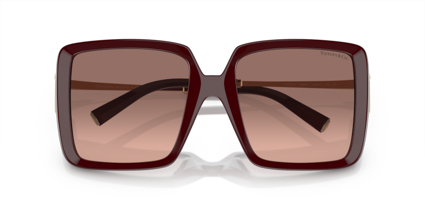 Tiffany & Co. TF 4212U Sunglasses