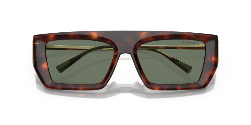 Tiffany & Co. TF 4214U Sunglasses