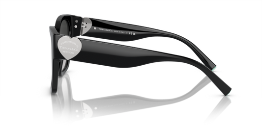 Tiffany & Co. TF 4216 Occhiale da sole