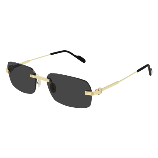 Cartier CT0271S