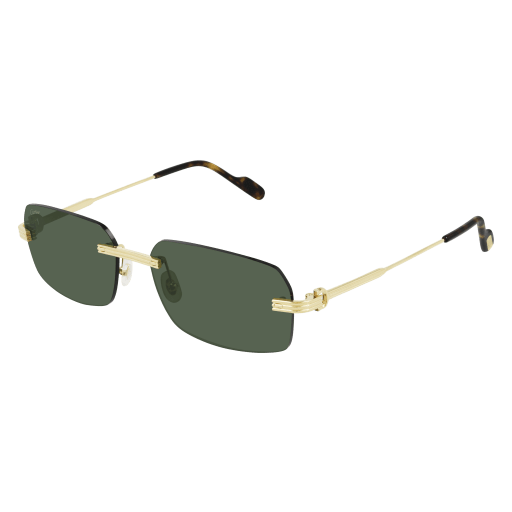 Cartier CT0271S