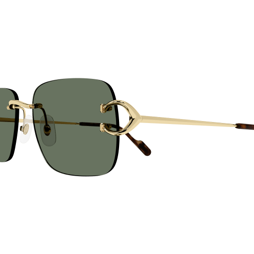 Cartier CT0330S