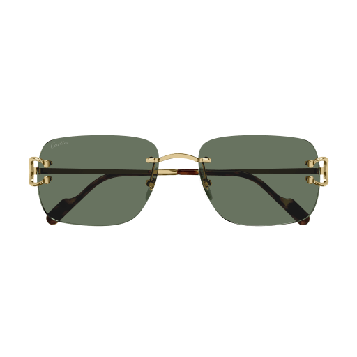 Cartier CT0330S