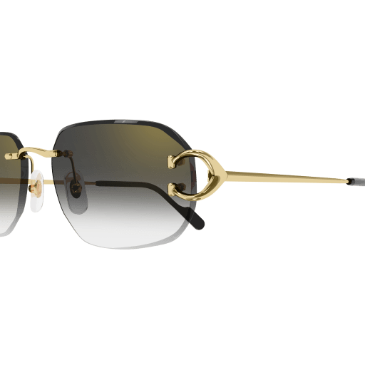 Cartier CT0468S