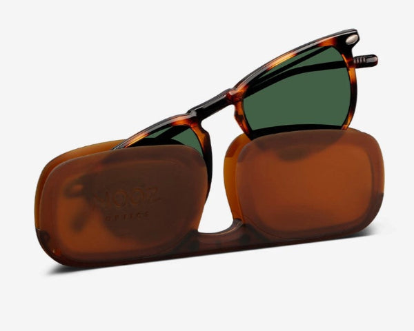 Nooz Dino Tortoise Sunglasses