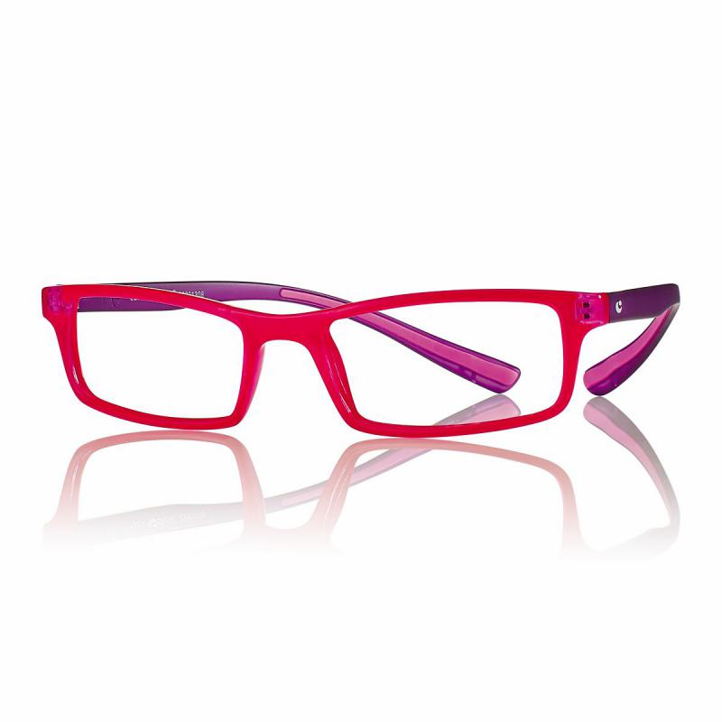 R0480 Plus Reading glasses temple arm