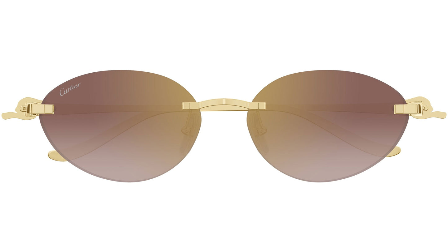 Cartier CT0504S