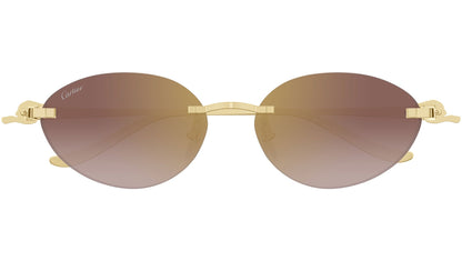 Cartier CT0504S