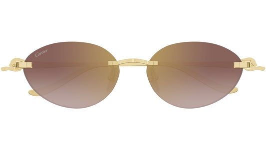 Cartier CT0504S