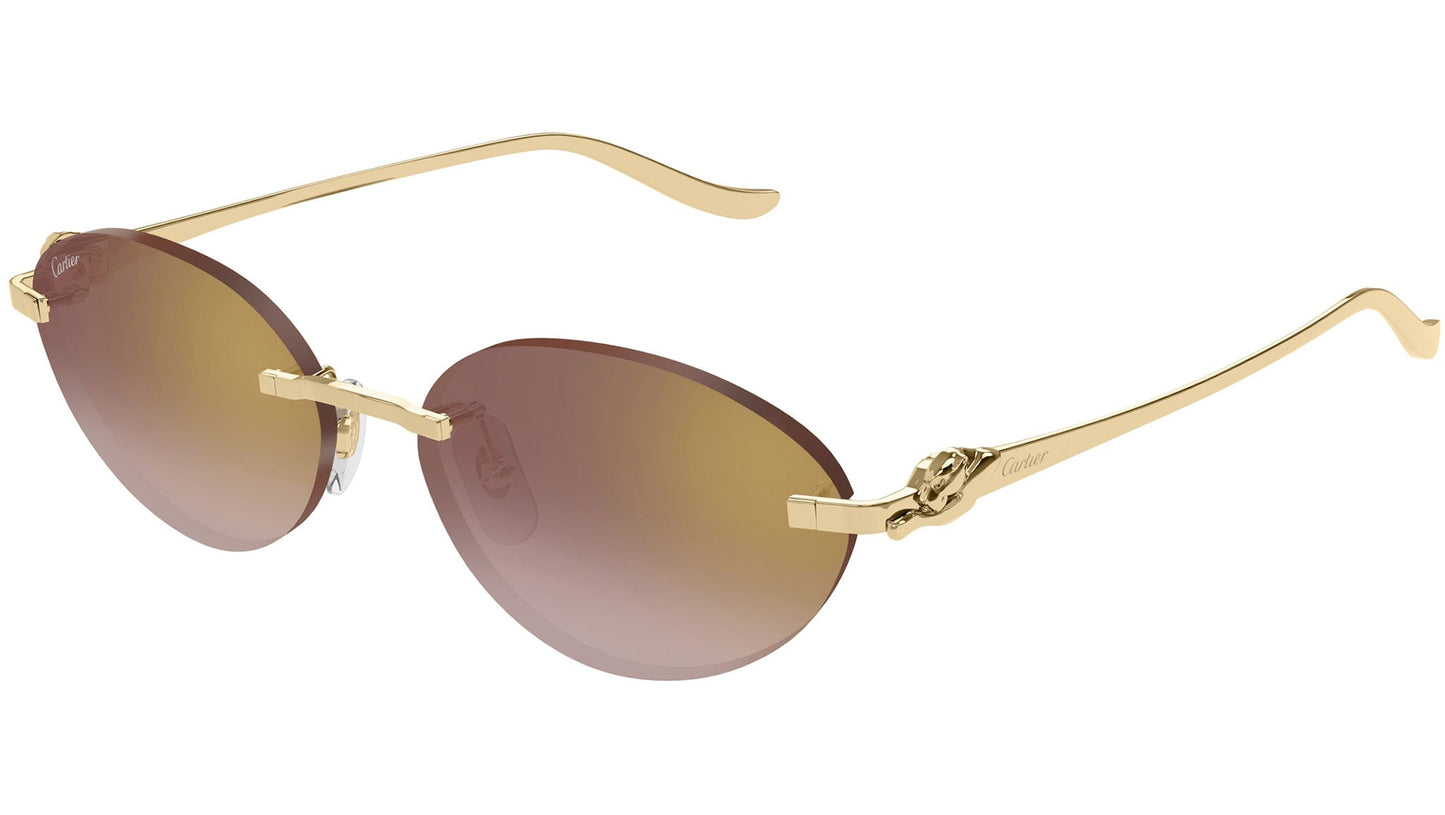 Cartier CT0504S