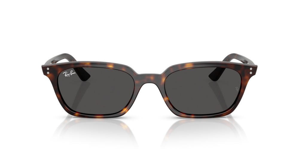 Ray-Ban RB 4456 Zaya 135987