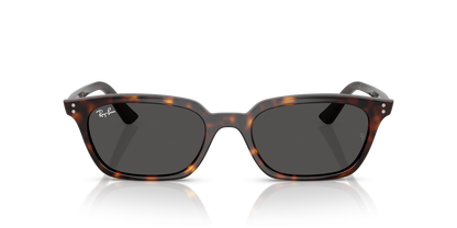 Ray-Ban RB 4456 Zaya 135987