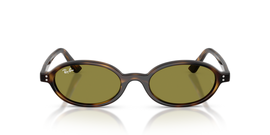 Ray Ban RB 4472 1359/2