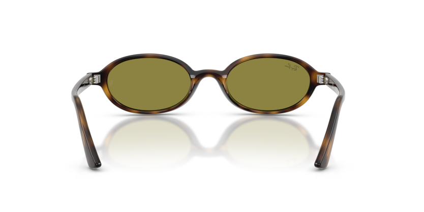 Ray Ban RB 4472 1359/2