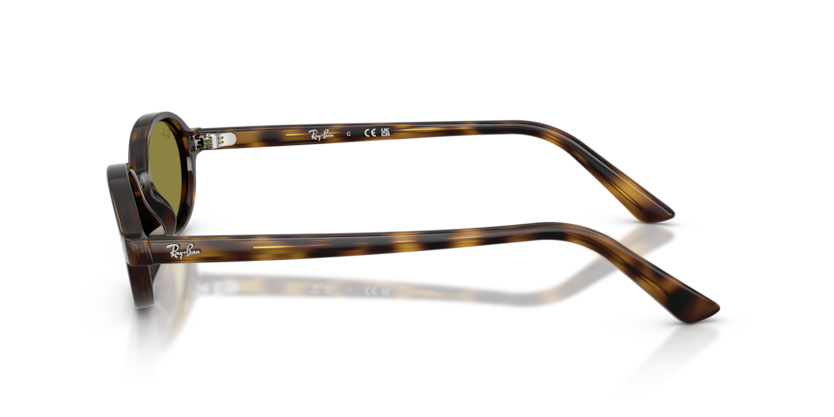 Ray Ban RB 4472 1359/2