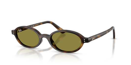 Ray Ban RB 4472 1359/2