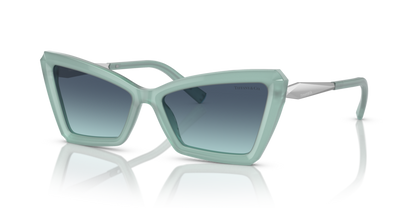 Tiffany &amp; Co. TF 4203 Sunglasses