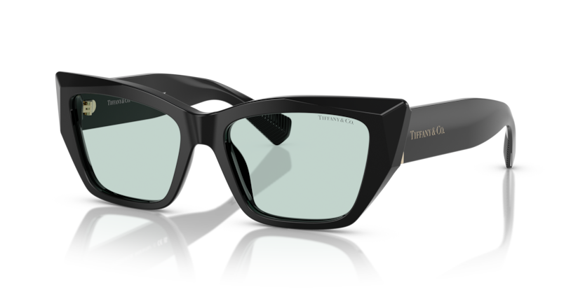 Tiffany &amp; Co. TF 4230 Sunglasses