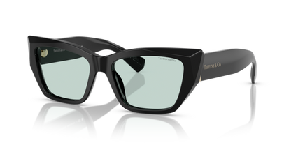 Tiffany &amp; Co. TF 4230 Sunglasses