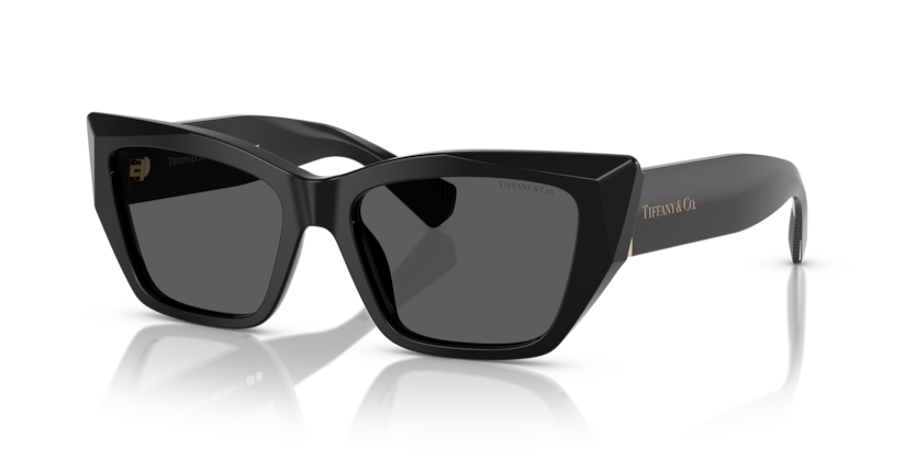 Tiffany &amp; Co. TF 4230 Sunglasses