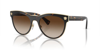 Versace VE 2198 Sunglasses