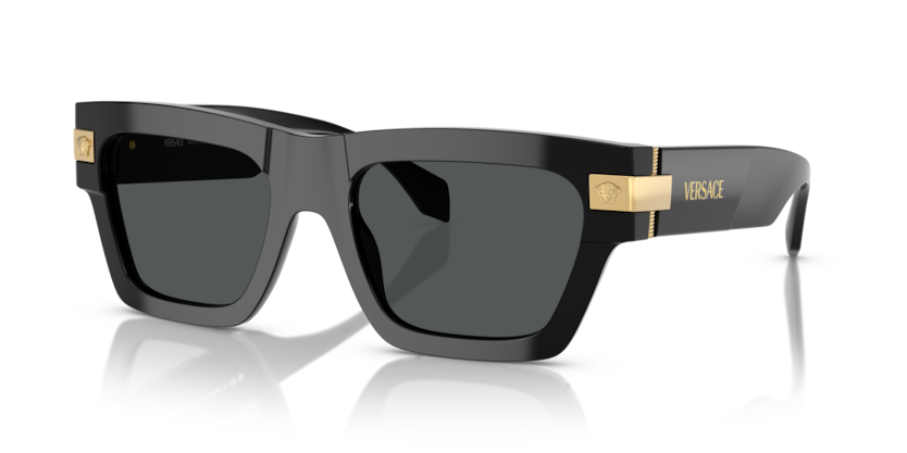 Versace VE 4464 Sunglasses