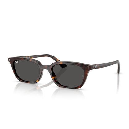 Ray-Ban RB 4456 Zaya 135987