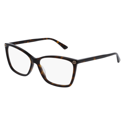 Gucci GG1604S Sunglasses 