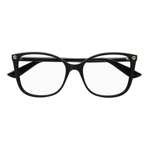 Gucci GG1604S Sunglasses 