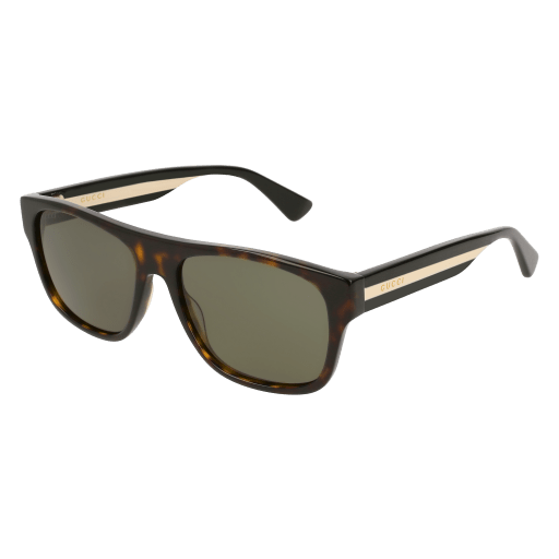 Gucci GG 0341S Sunglasses