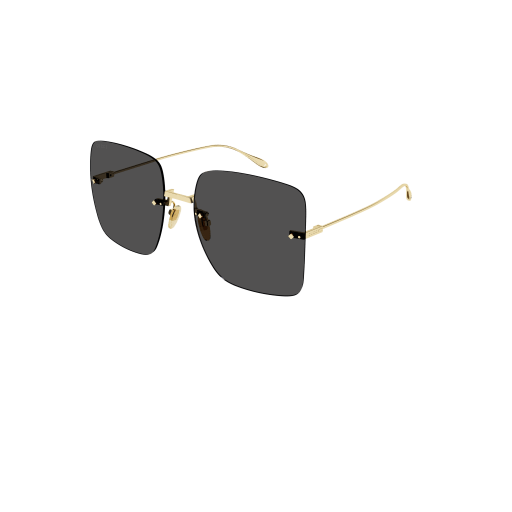 Gucci GG1604S Sunglasses 