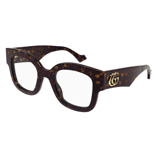 Gucci GG1604S Sunglasses 