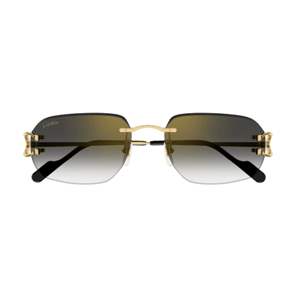 Cartier CT0468S