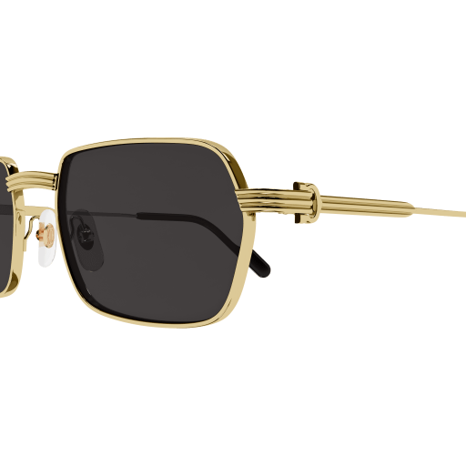 Cartier CT0463S