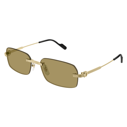 Cartier CT0271S