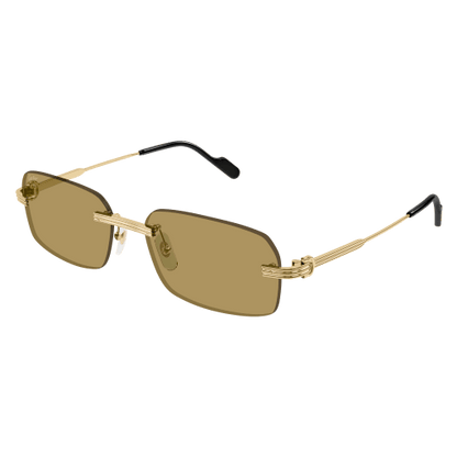 Cartier CT0271S
