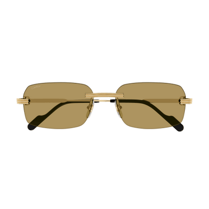 Cartier CT0271S