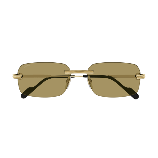 Cartier CT0271S
