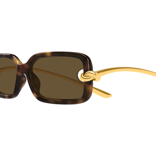 Bottega Veneta BV1439S 002