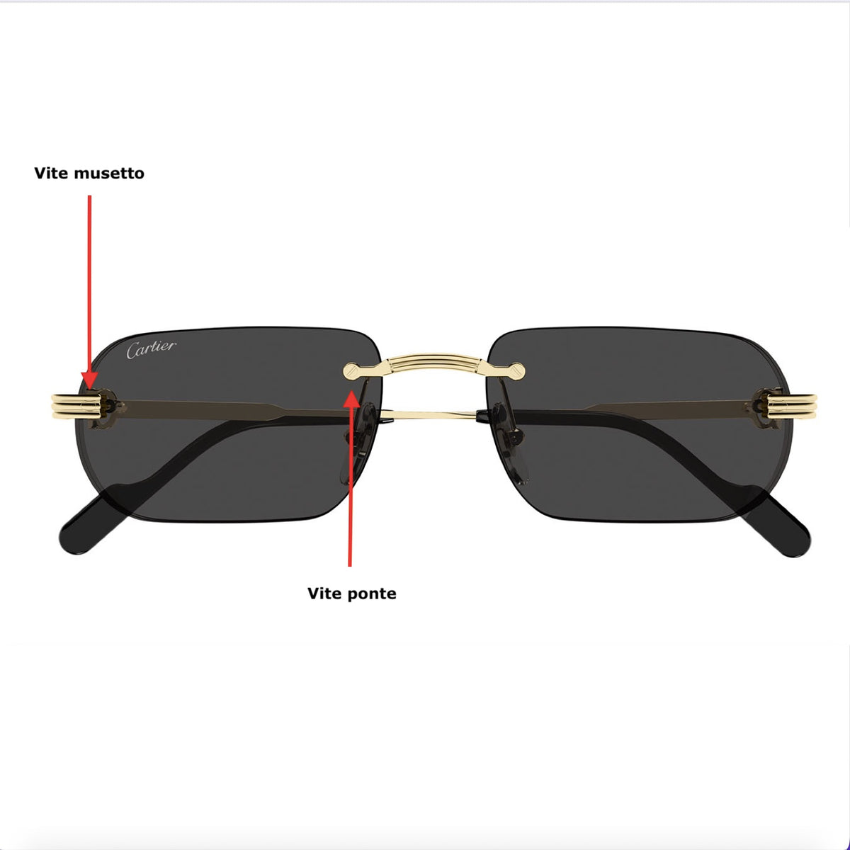 Cartier CtO577S viti di ricambio