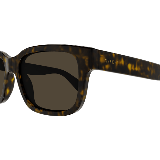 Gucci GG 1583S 002