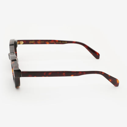 Gast MYRIAD CLASSIC HAVANA
