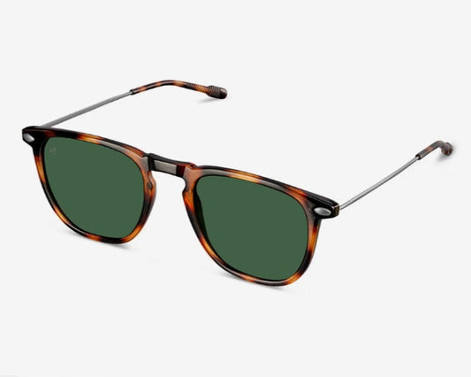 Nooz Dino Tortoise sunglasses