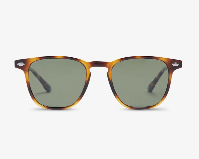 Nooz Dino Tortoise Sunglasses